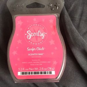 Surfer Chick Scentsy Bar
